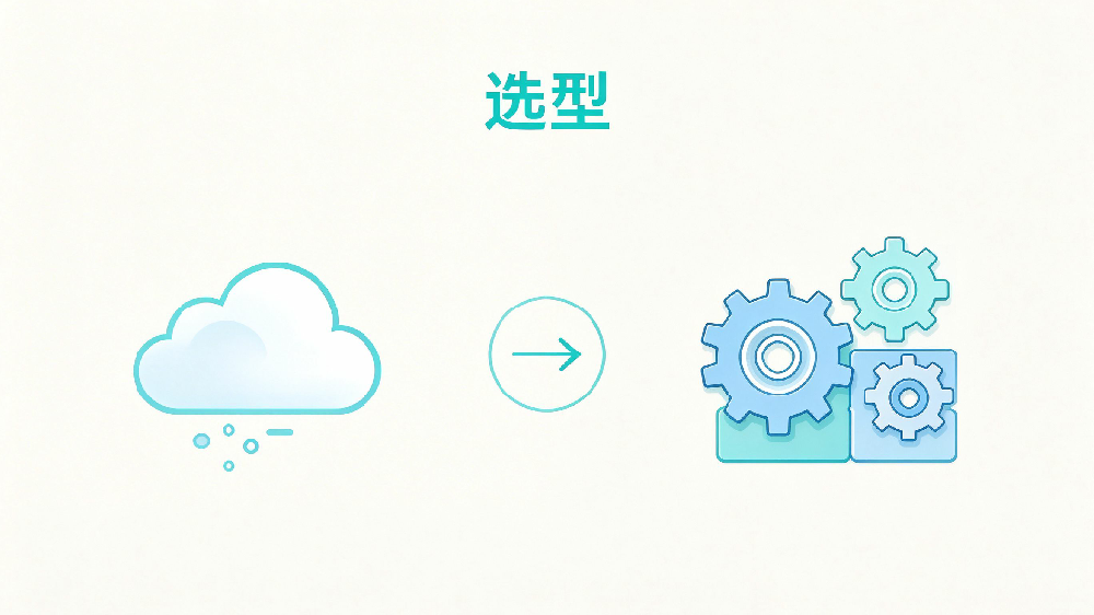 示意图：SaaS与定制开发选择对比